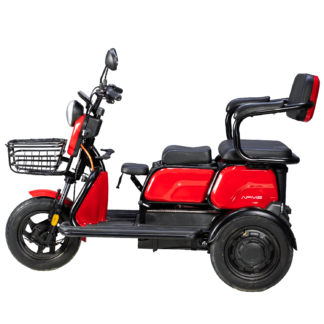 Triciclu Full Electric PM2 01
